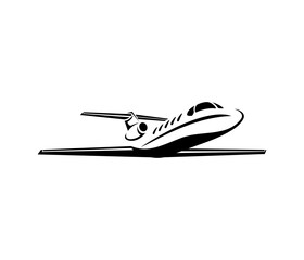 Jet plane icon vector image