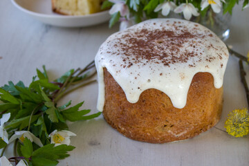 Traditional Easter cakes on a white background. Easter cake. Spring flowers. Copy space.