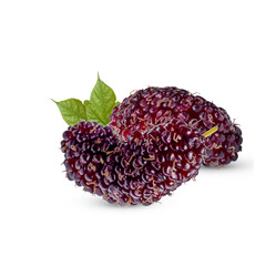Fresh mulberry with leaves isolated on white background