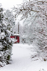 A rustic red cabin in a snowy winter forest.