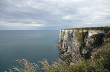 The dramatic coastal landscape of Bempton Cliffs in Yorkshire, UK. 