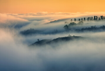 Trees in the Fog. Autumn morning. Nature of Ukraine