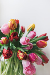 Obraz premium Large multicolor tulip flower bouquet in glass vase on white background wall with copy space. Beautiful floral gift. Nature postcard holiday idea.