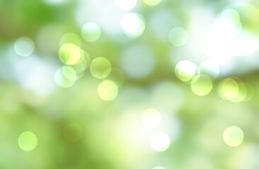 Green bokeh abstract background blur