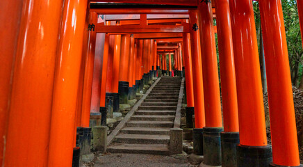京都の伏見稲荷大社の鳥居の風景