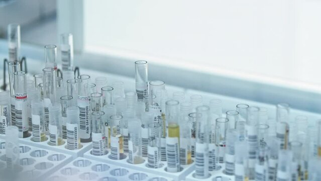 Close shot of a single test tube in a holder moving along the line of an automated lab. Lab concept. High quality 4k footage