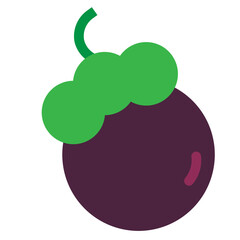 Mangosteen Flat Icon