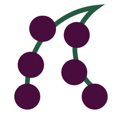Berries Flat Icon