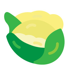 Cabbage Flat Icon