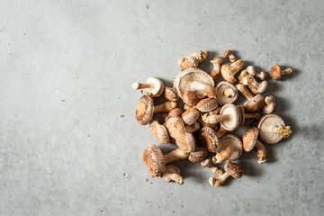 Shiitake mushrooms on marble background	