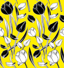 Tulipani