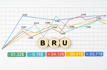 On the business chart are wooden circles with the inscription - BRU