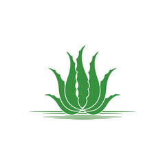 Aloe Vera logo icon design symbol beauty