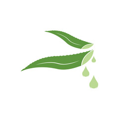 Aloe Vera logo icon design symbol beauty