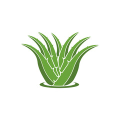 Aloe Vera logo icon design symbol beauty