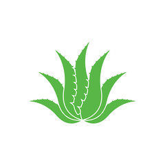 Aloe Vera logo icon design symbol beauty