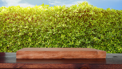 Empty wooden shelf with green plants background for placing or displaying products. (spot focus)