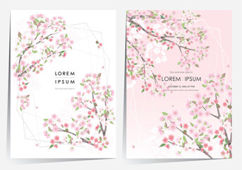 Vector editorial design frame set of Korean spring scenery with cherry trees in full bloom. Design for social media, party invitation, Frame Clip Art and Business Advertisement - 569949409