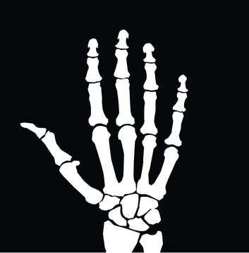 X-ray hand icon on white background. Human hand x-ray scan sign. X Rays Style Human Hand symbol. flat style.