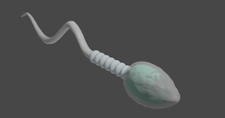 3d rendered illustration of sperm