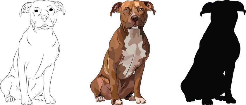 Pitbull terrier dog in a sitting pose. Silhouette logo design, popular colors, breed pet character postcard art. Funny dog mascot. Detailed stroke, line illustration. Chocolate terrier. Cartoon style.