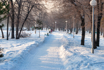 winter in the park