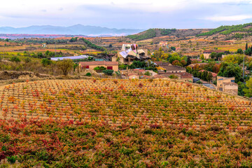 Fototapeta na wymiar Colourful Basque Country vineyard and town of Elciego Alava Spain