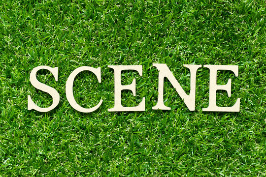 Wood letter in word scene on green grass background