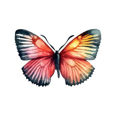 orange yellow butterfly watercolor isolated on a white background