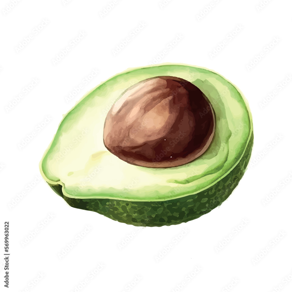 Poster Avocado. Hand drawn watercolor painting. Vector illustration.