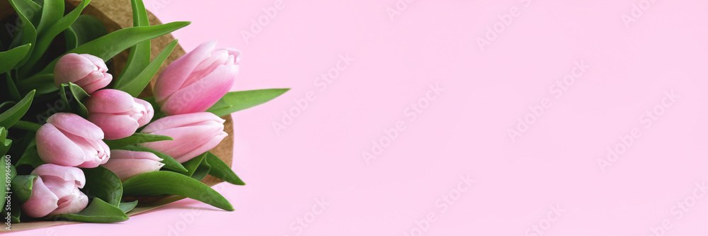 Wall mural beautiful delicate bouquet of tulip flowers in craft wrapping paper on pink background banner. panor
