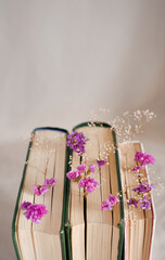 Dried flowers in books, aesthetic book and reading background