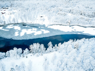Fototapeta na wymiar Gefrorener See im Winter von oben mit Wald bedeckt mit Schnee und Eis, Luftbildfotografie
