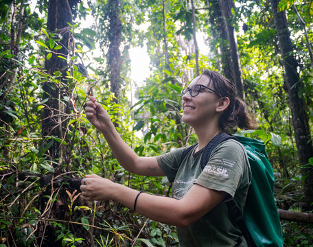 Female researcher in jungle