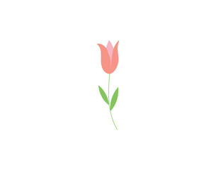 Cute Pink Spring Tulip Flower Plant Transparent Clipart