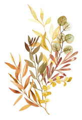 Watercolor hand painted botanical autumn leaves and branches illustration clipart isolated on white background. Isolated objects for wedding invitations and greeting cards