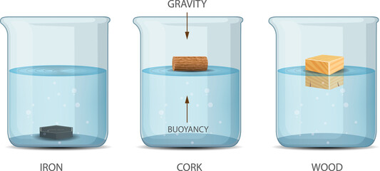 Archimedes Principle Density and Buoyancy - obrazy, fototapety, plakaty