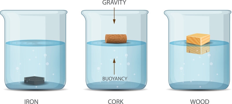 Archimedes Principle Density and Buoyancy