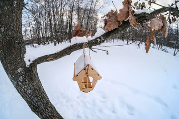 BIRD FEEDER IN THE WINTER PARK