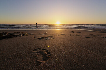 niños y sus padres corriendo hacia el mar al atardecer