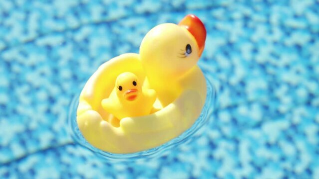 Duck toys swims in a pool of clear blue water on a bright sunny day