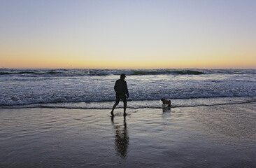 hombre jugando con su perro pug en la orilla del mar mientras esta la puesta de sol