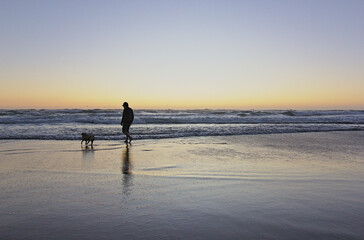 hombre jugando con su perro pug en la orilla del mar mientras esta la puesta de sol