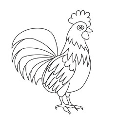 rooster coloring book on white background vector