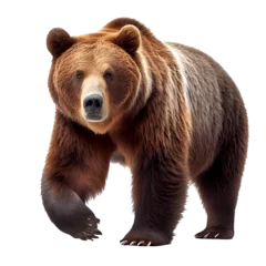 Foto op Aluminium ferocious grizzly bear On a clean background. generative AI © I LOVE PNG