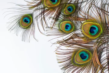 Foto op Plexiglas Colorful and Artistic Peacock Feathers. This is a macro photo of the arrangement of bright peacock feathers. © Esin Deniz