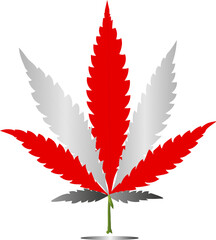 illustration of a marijuana indonesia