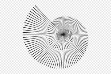 Foto op Aluminium Abstract Stripped Nautilus shell symbol. Flat vector illustration © Formatoriginal