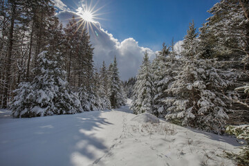 Canadian winter landscape.  Cold winter landscape in Quebec, Canada.  Winter landscape.