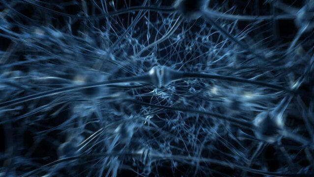zoom inside the brain, concept of neurons and the nervous system